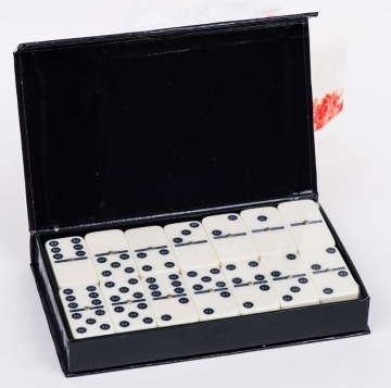 Professional ivory domino game set in color box