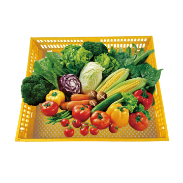 Egg Incubator Plastic Hatching Basket