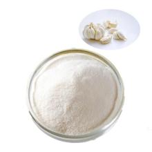 Wholesale White Dehydrated Garlic Powder with Best Quality