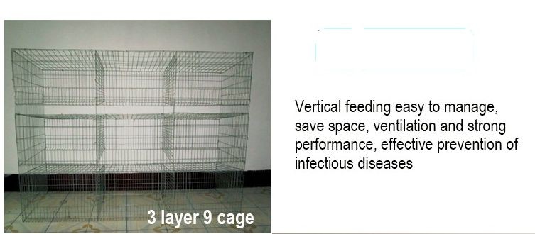 Cheap Rabbit Farming Cage