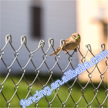 Courtyard PVC/Electric Galvanized Chain Link Fence