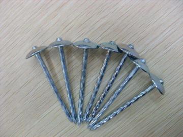 Umbrella Roofing Nails Price