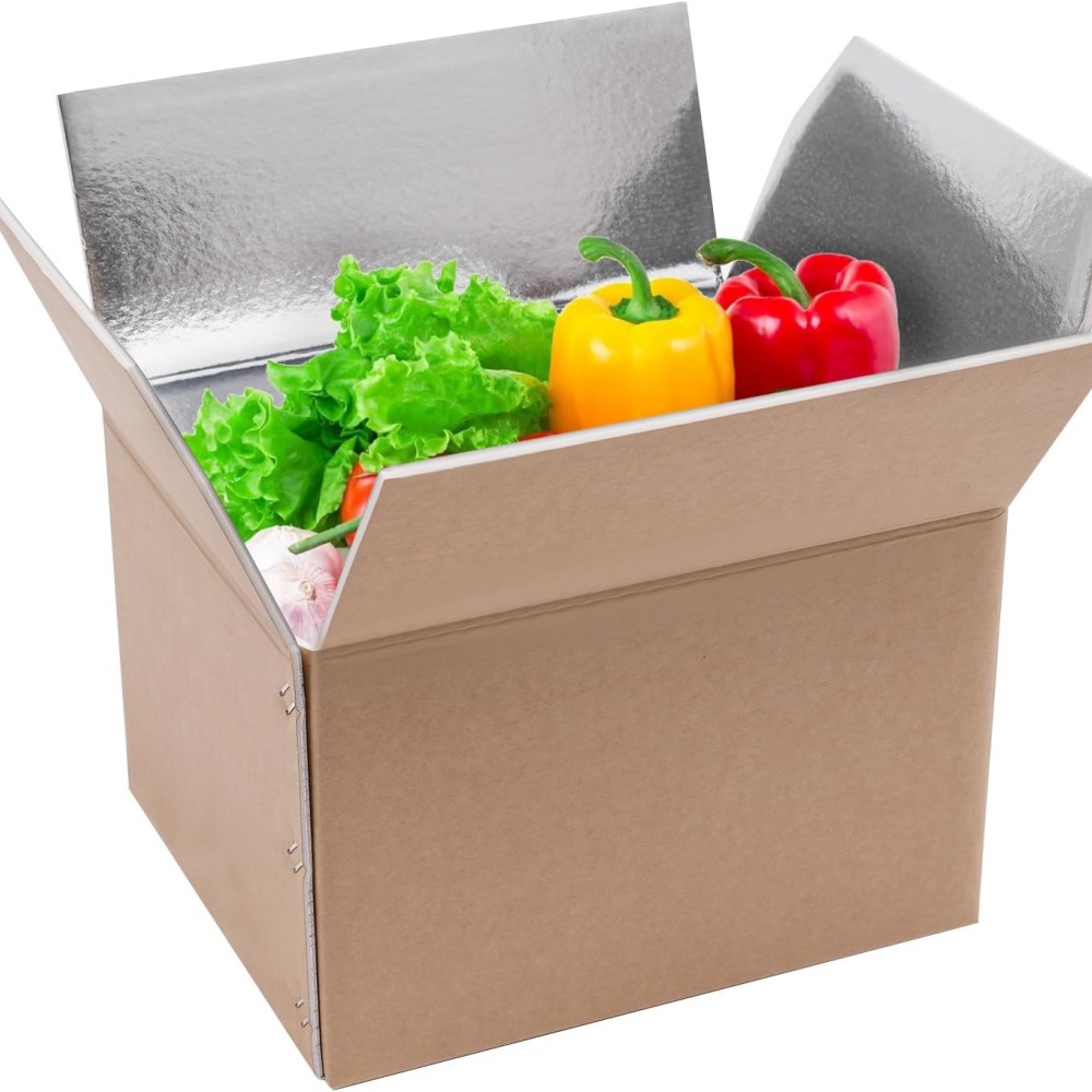 Double Insulated Cold Storage Box with Foil Liner
