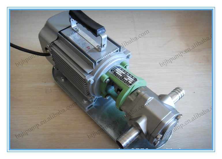 Single-phase 220V portable gear pump