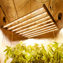 Spain Phlizon 640W Foldable Grow Light