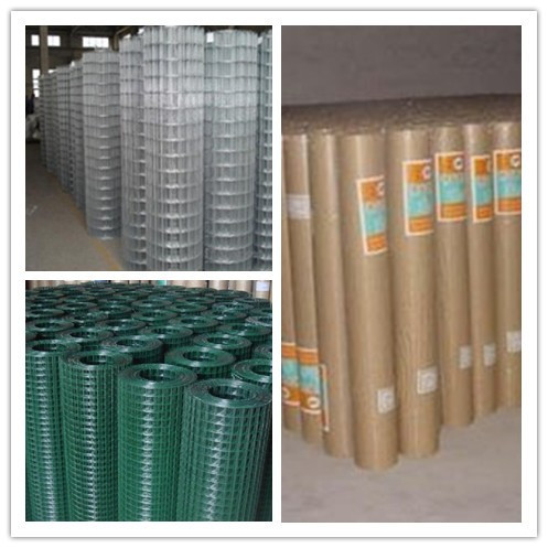 Galvanized and PVC Coated Welded Wire Mesh Rolls