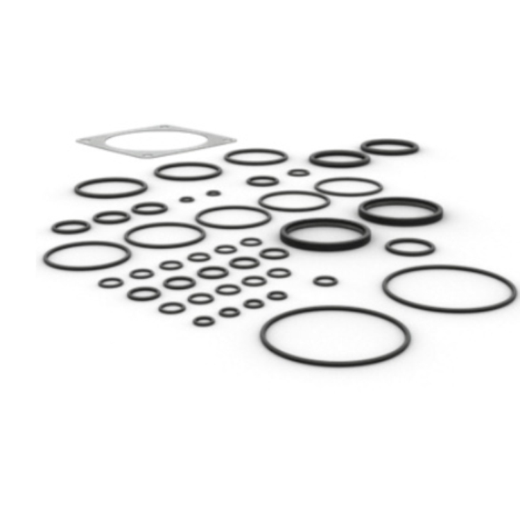 D10T Gasket Kit 313-9004