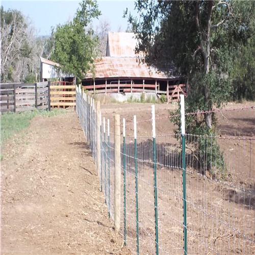 field fence 