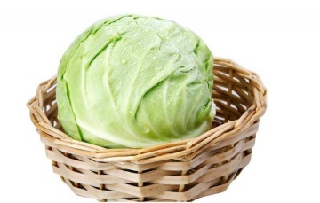 High Quality Organic Cabbage