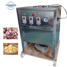 Garlic Peeling Machine: Commercial Solution for Efficient Garlic Peeling