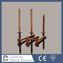 Supply of Copper Ring Shank / Four Hollow Shank/ Smooth shank Clout Nail