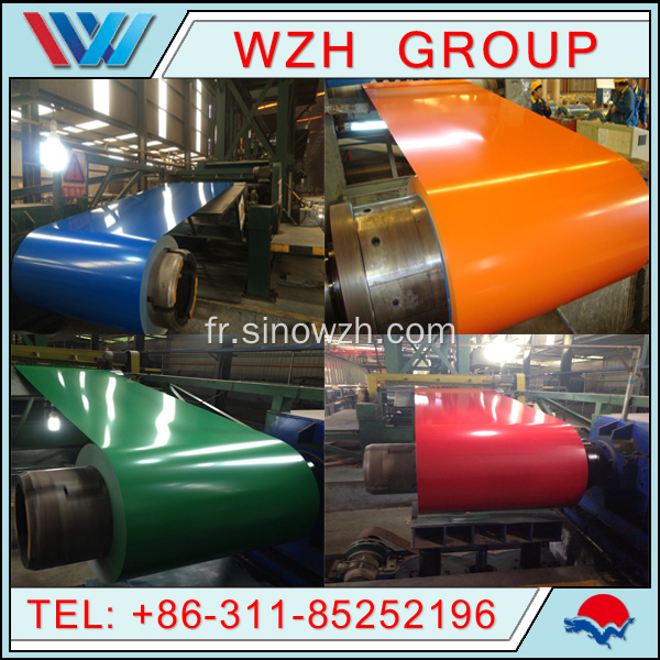 GI Colour Steel Steel Suppliers