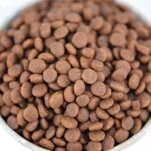 Delicious and Nutritious Dog Food for All Breeds