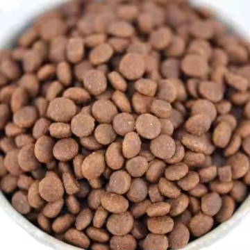 Delicious and Nutritious Dog Food for All Breeds