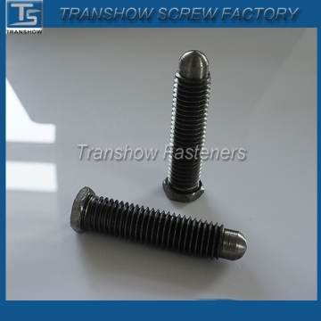 Hex head round point screw