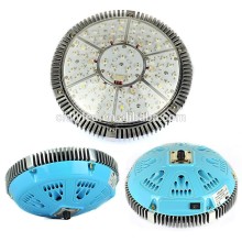 full spectrum growing Led Basement Lighting Hydroponics