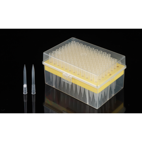 200Ul Filter Pipette Tips Racked