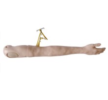 Multifunctioonal IV Training arm