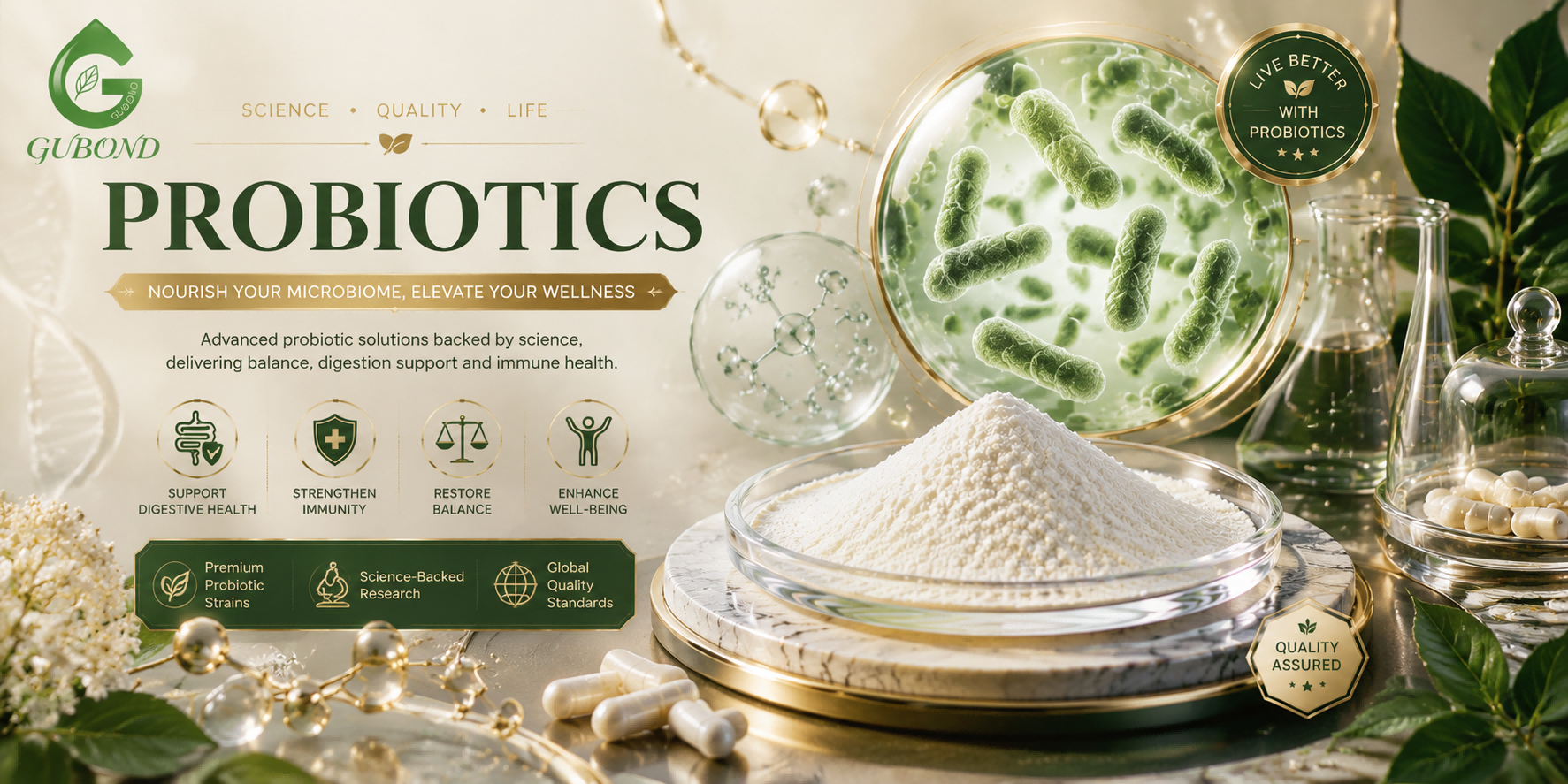 Probióticos Probiotics