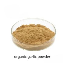 Buy online natural Organic Garlic Powder for sale