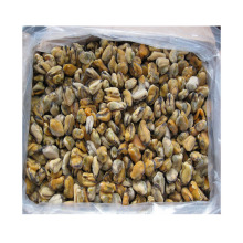 boiled mussel meat without shell detail cooking frozen mussel meat products detail fish mussels