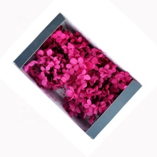 Kunming Fresh Cut Preserved Bicolor Hydrangea Flowers