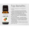 100% Pure Therapeutic Grade Carrot Seed Essential Oils