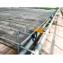 Agriculture Greenhouse Seedbed Growing Table