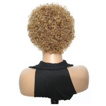 Factory Pixie Cut Wig Human Hair Curly Bob Pixie Cut Lace Wig Bleached Knots Lace Frontal Pixie Curls Short Wigs For Black Women