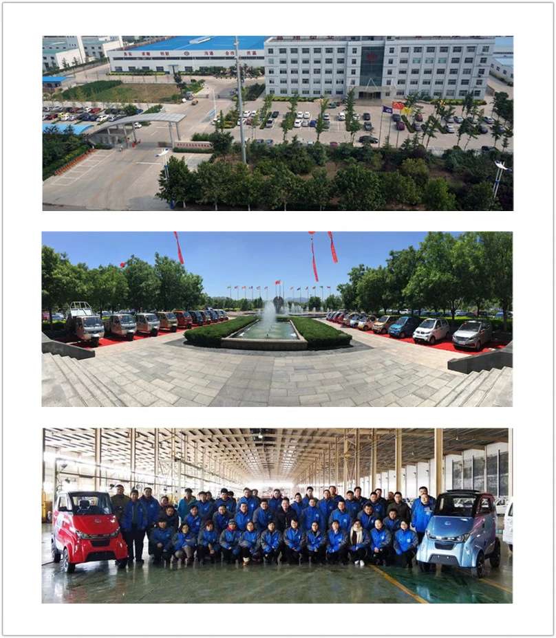 Runhorse Coc Electric Pick up Truck for Cargo Delivery