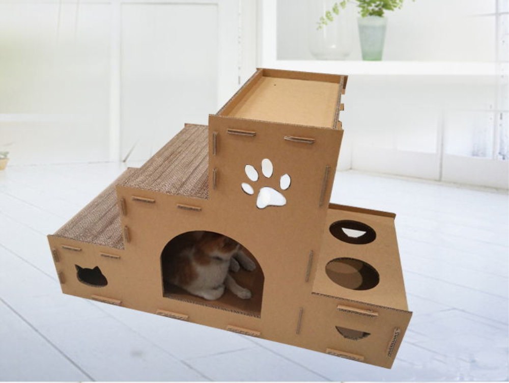 cat Activity Center