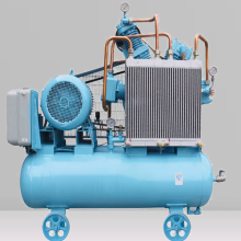 belt air compressor intake filter