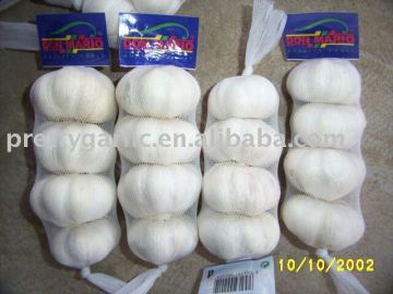 pure white fresh garlic prepacked