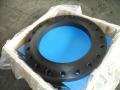 Flanges ANSI 150 # de aço inoxidável