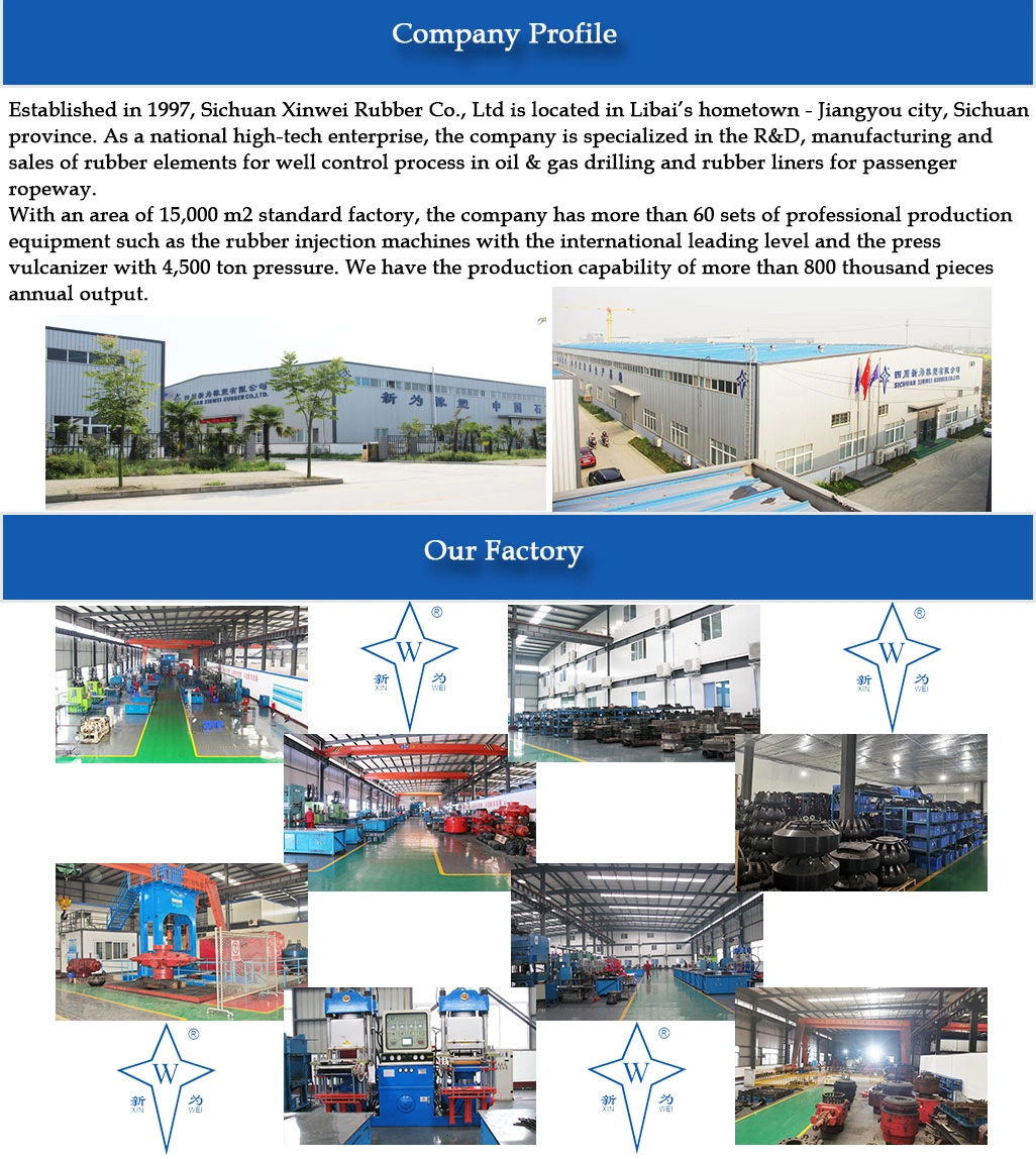 Customized VBR RAM Packer RAM Bop Rubber Seal Rubber Spare Parts Packers Seals