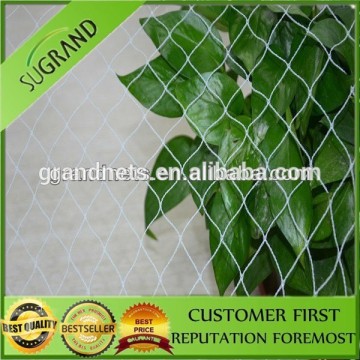 HDPE Bird Protection Nets