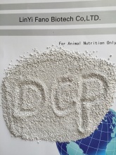 feed additives for beef cattle Dicalcium Phosphate (DCP)