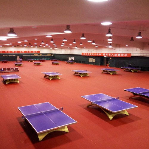 Lantai Olahraga PVC Lapangan Tenis Meja Indoor