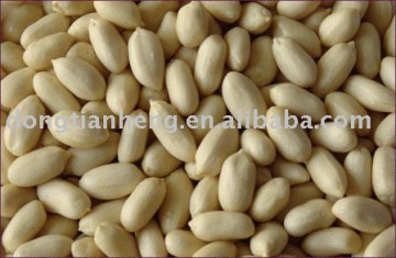 Blanched Peanut Kernel