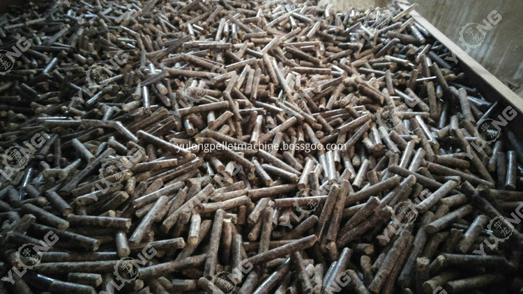 Pinus sylvestris pellet machine