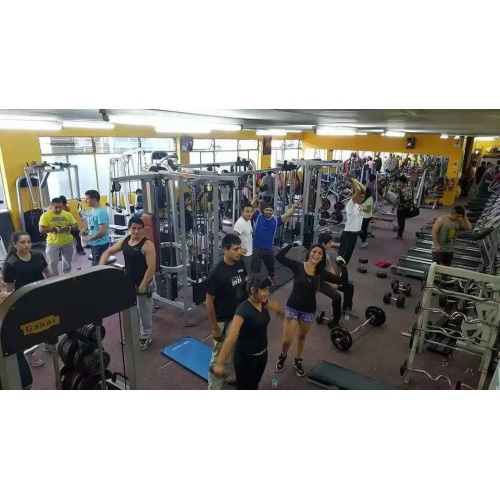 Paquete completo de gimnasio de 250-300 for para uso comercial