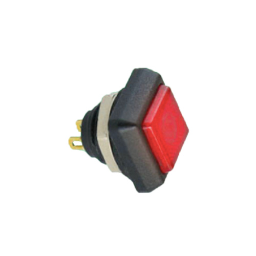 Interruptor pulsador de luz iluminada IP67