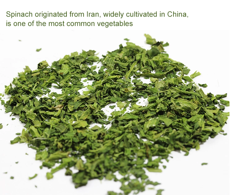 Ad Spinach Leaves Dried Spinach Leaf Dehydrated Spinach Flakes