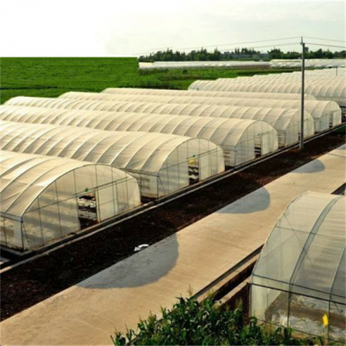Rolnictwo pojedynczy tunel plastikowy folia szklarnia