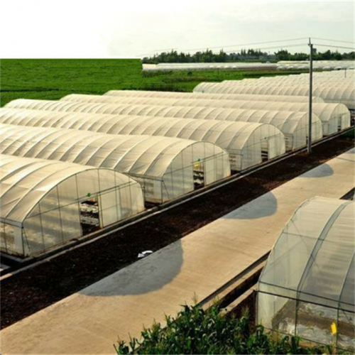 Pertanian Tunnel Plastik Film Kaca Greenhouse