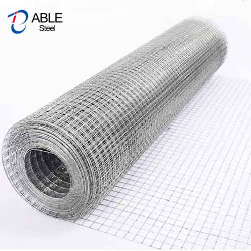 Hot Dip Galvanized Welded Wire Mesh