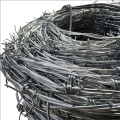 High quality electro galvanized barbed wire