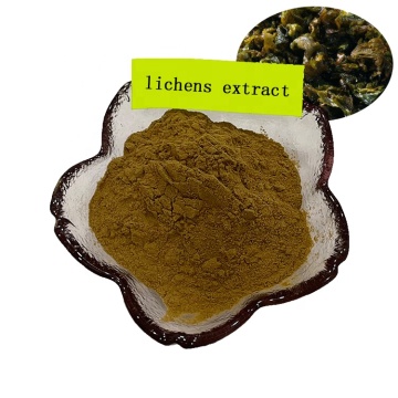 factory supply lichen extract powder/moss extract powder 10:1