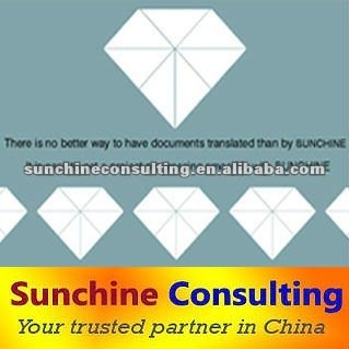 Portuguese Translation Service / Consulting and Interpretation Service