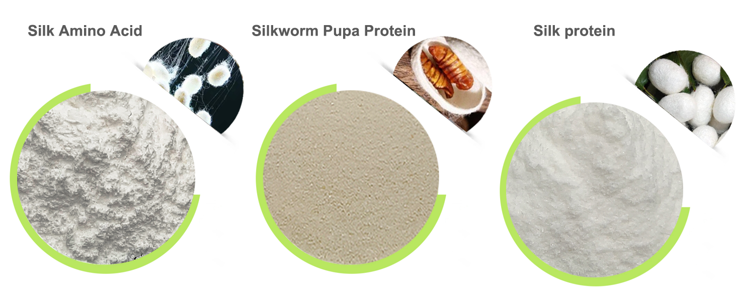 Natural food grade 98% Silkworm Chrysalis Amino Acids powder for health supplement